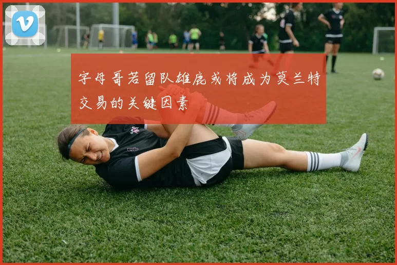字母哥若留队雄鹿或将成为莫兰特交易的关键因素